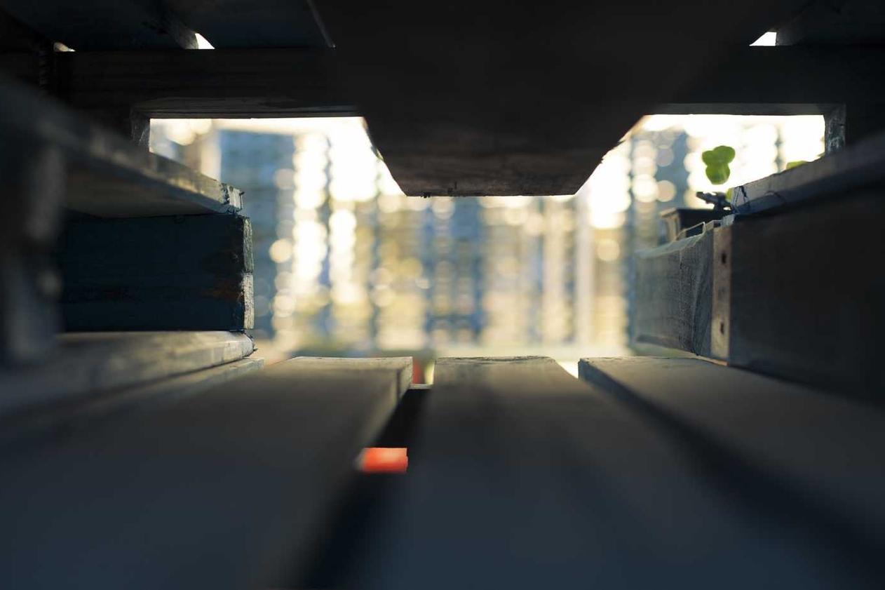 Facilis repellendus ratione inventore